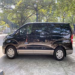 2020 Hyundai Grand Starex gold for rent left side